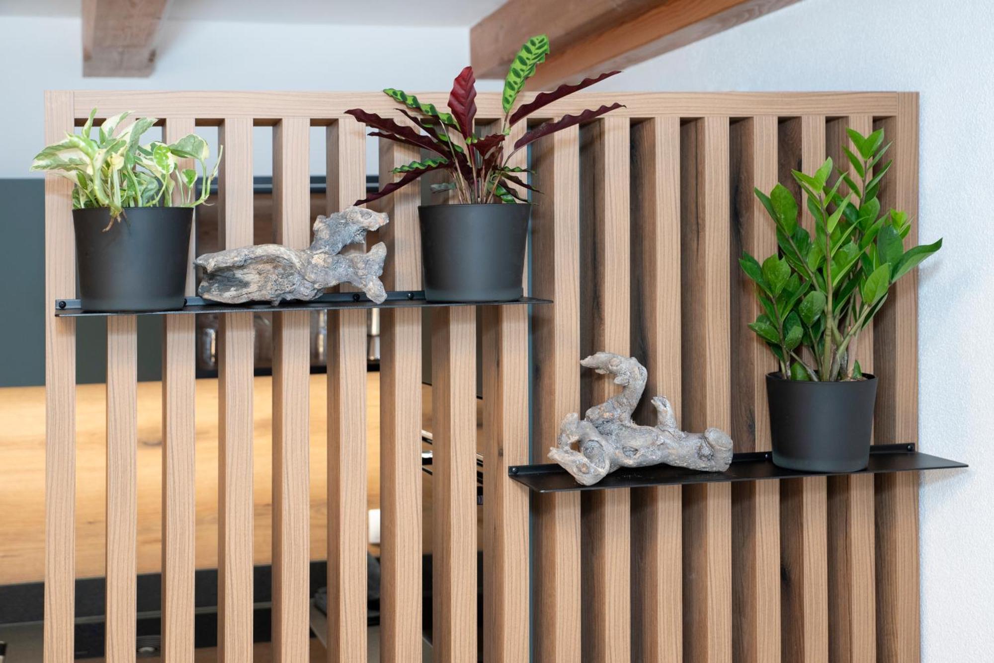 Natural Deluxe Apartments อัลพ์บาค ภายนอก รูปภาพ